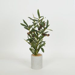 ΔΕΝΤΡΟ ΕΛΙΑΣ Υ40cm 75814037