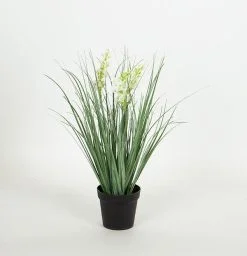 ΦΥΤΟ ΛΕΥΚΟ ΑΝΘΟΣ ΣΕ ΓΛΑΣΤΡΑΚΙ Υ35,5cm 75814032